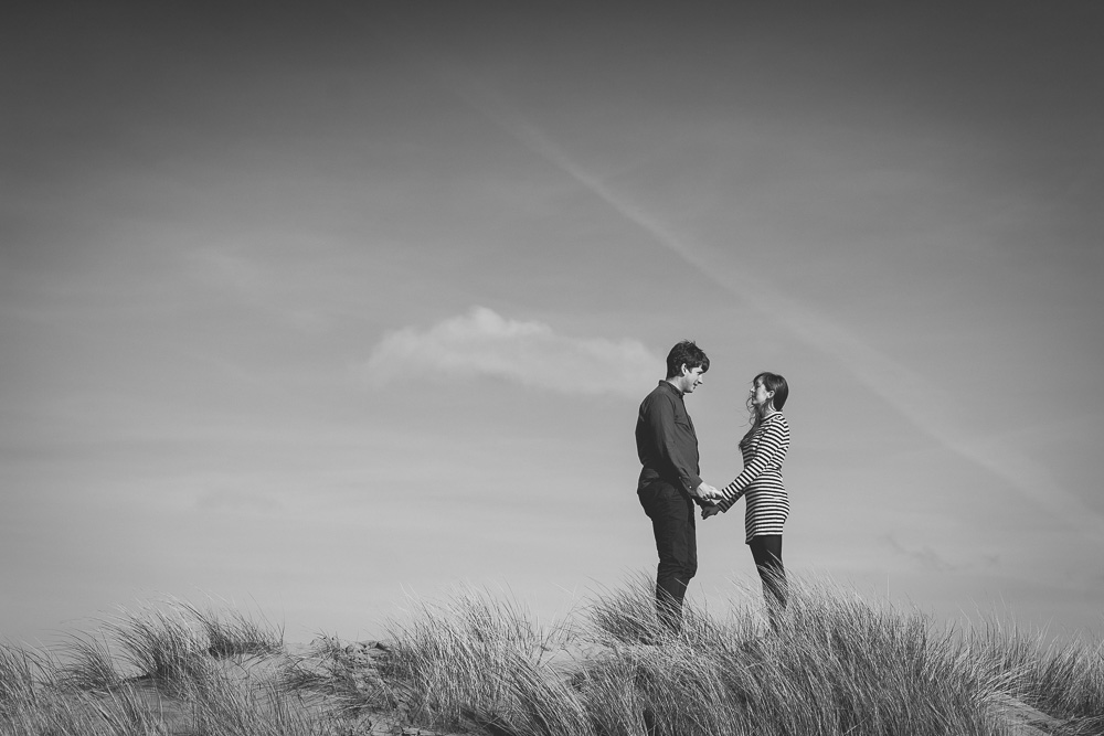 ynyslas-33