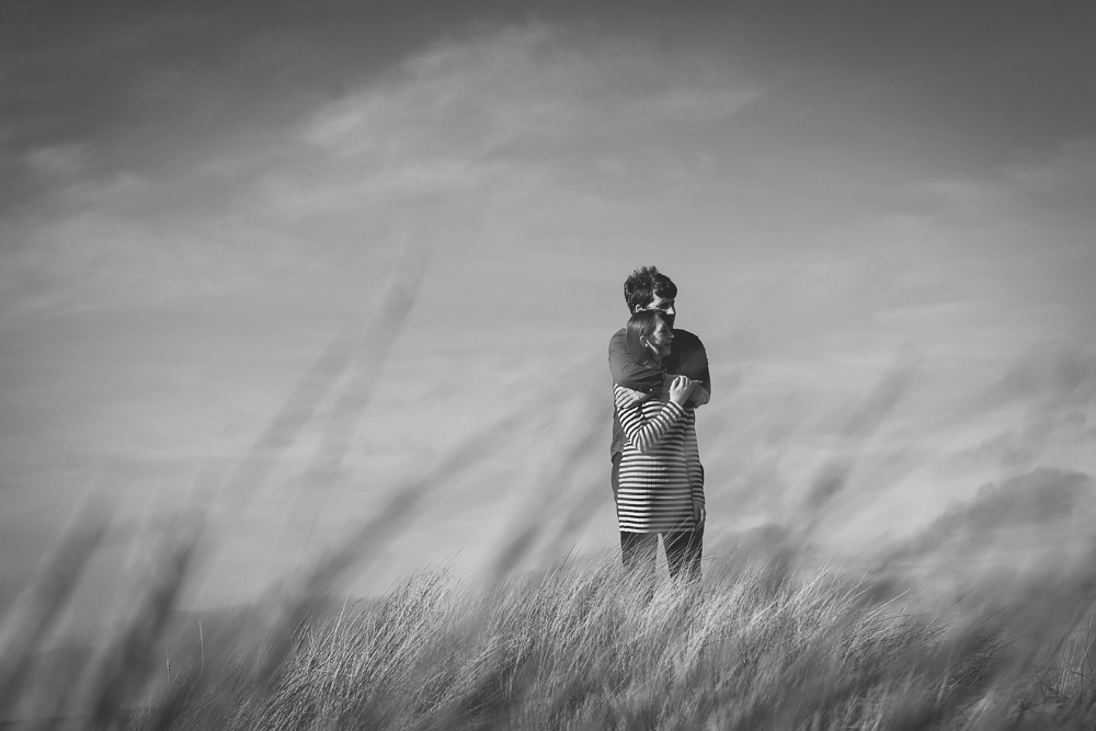 ynyslas-34